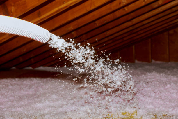 Best Insulation Maintenance and Repair in Enterprise, UT